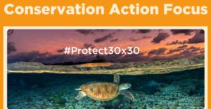 30×30 conservation program launched for 2023 Ocean Day